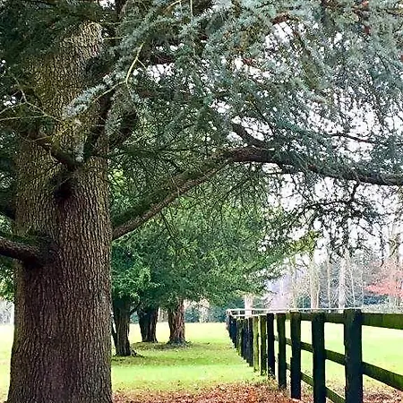 Le Domaine D'olene