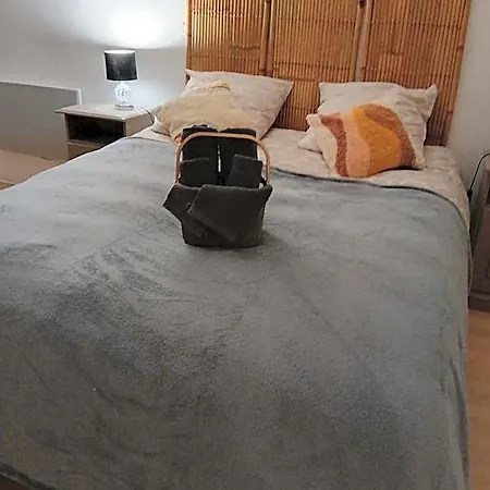 Le Domaine D'olene 3*