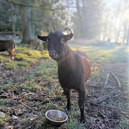 Frühstückspension Le Domaine D'olene 3*