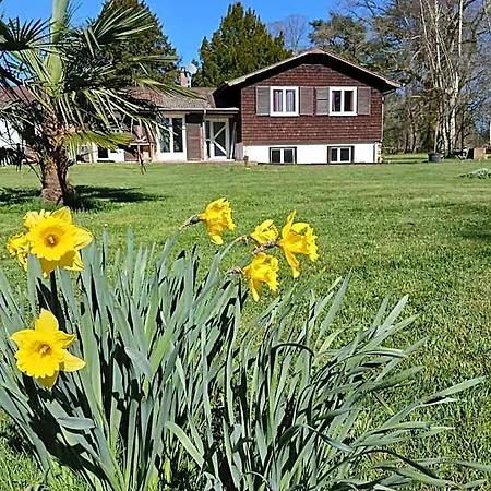 Le Domaine D'olene