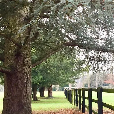 Le Domaine D'olene Bed & Breakfast
