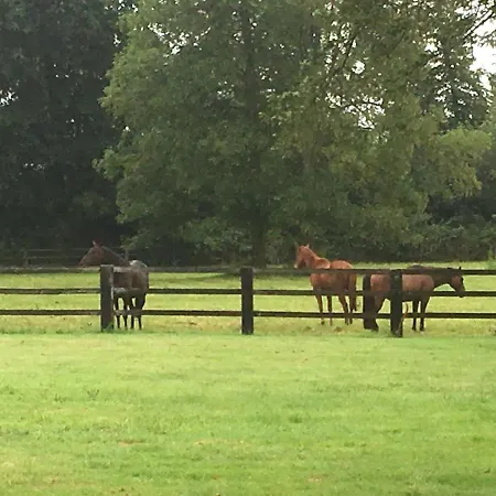 Bed & Breakfast Le Domaine D'olene Le Pin (Calvados)